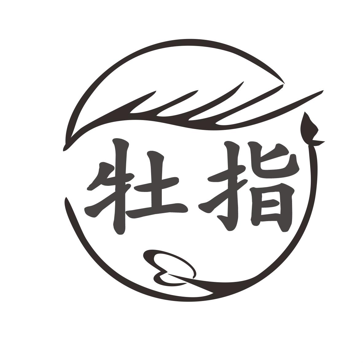 牡指