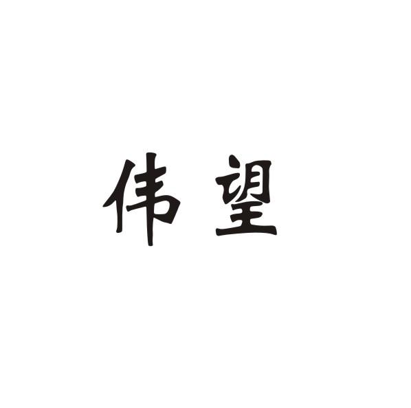 伟望