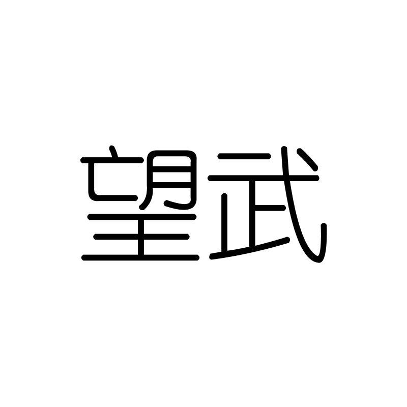 望武