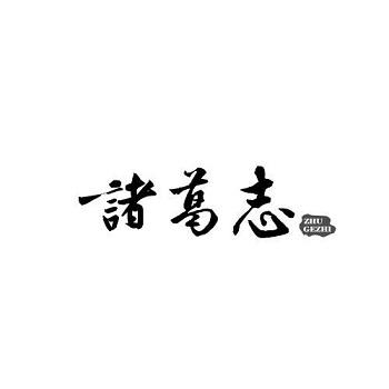 诸葛志