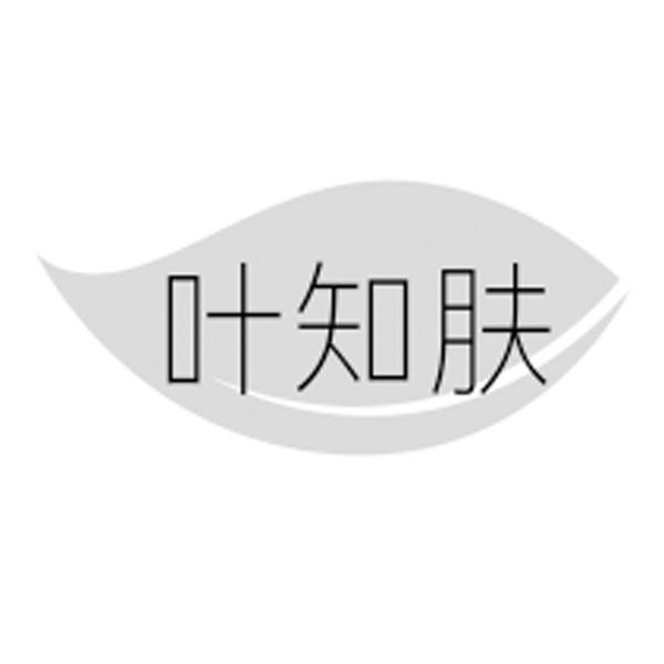 叶知肤