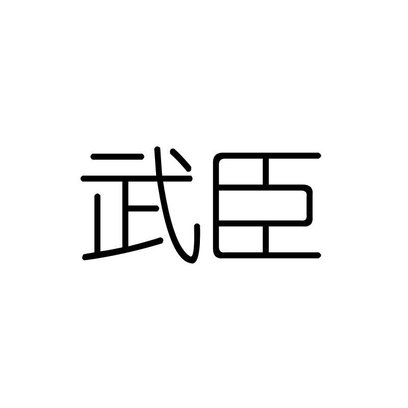 武臣