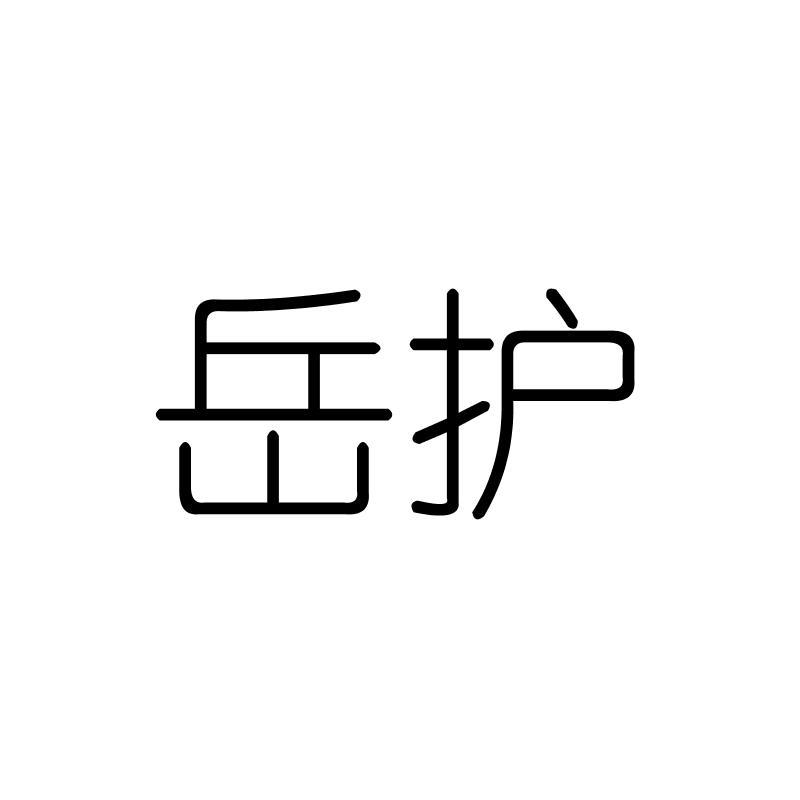 岳护