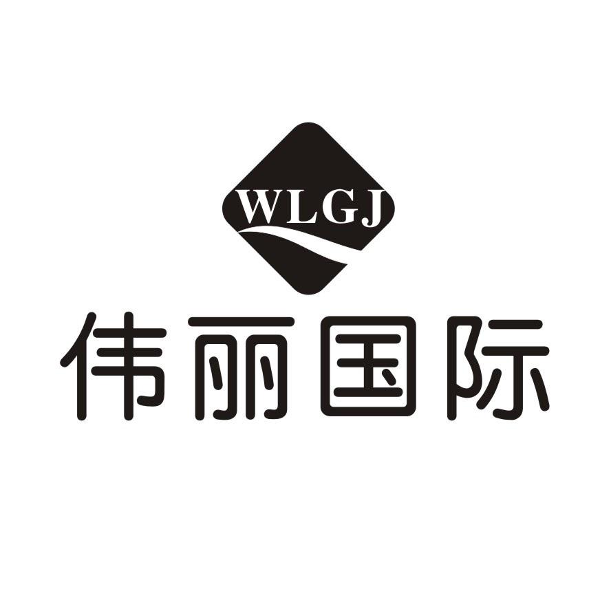 伟丽国际
