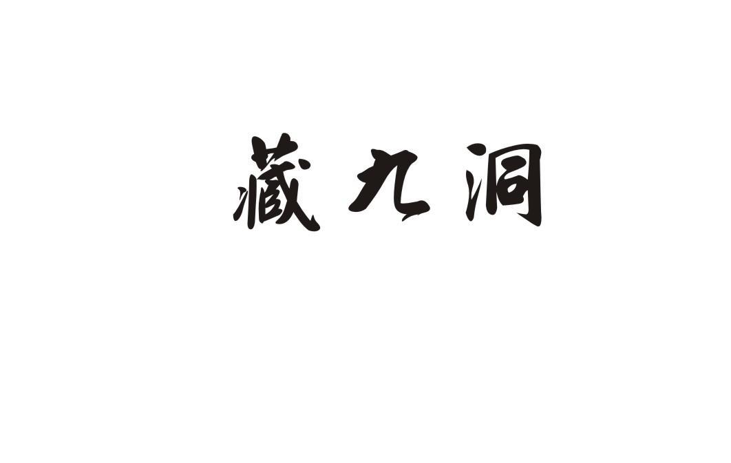 藏九洞