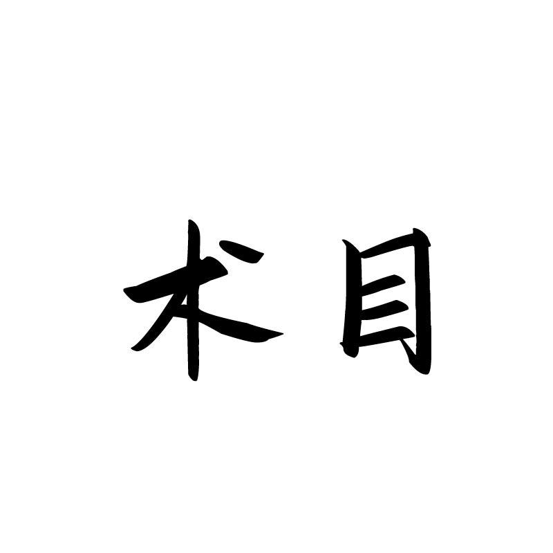 术目
