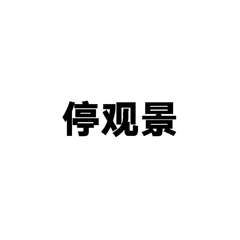 停观景