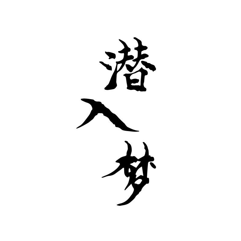 潜入梦