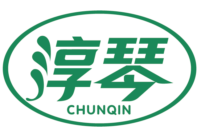 淳琴