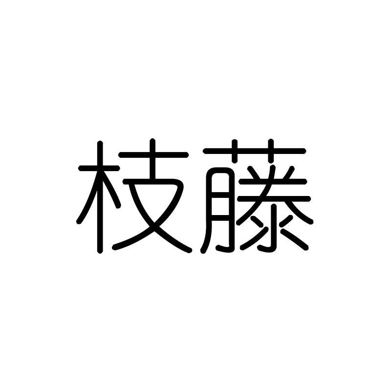枝藤