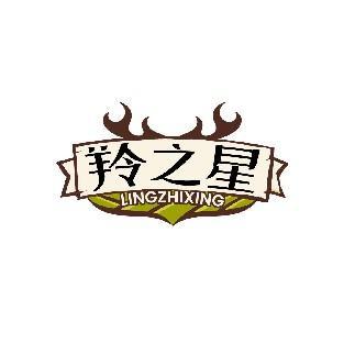 羚之星 LINGZHIXING