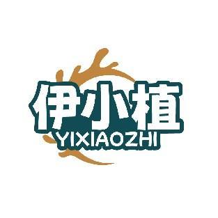 伊小植 YIXIAOZHI