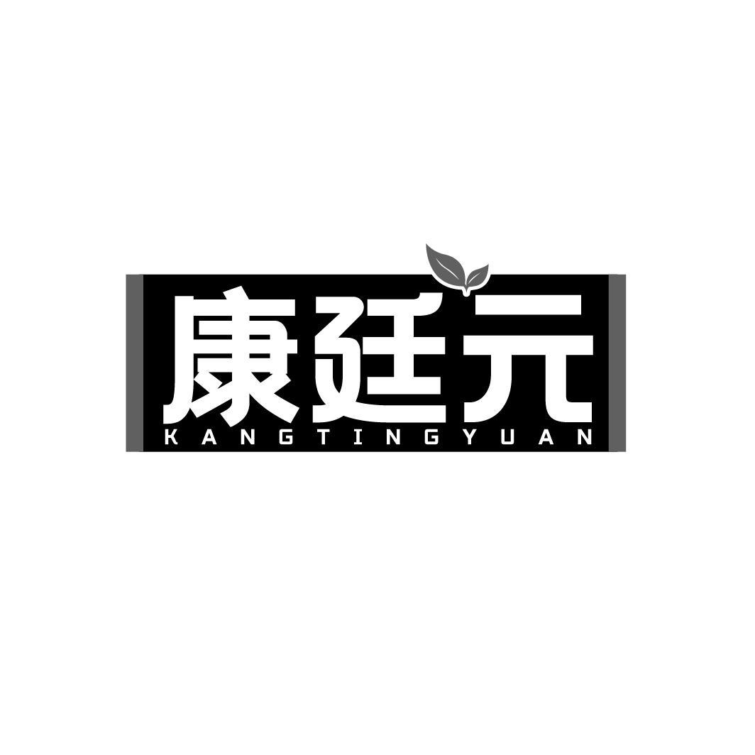 康廷元 KANGTINGYUAN
