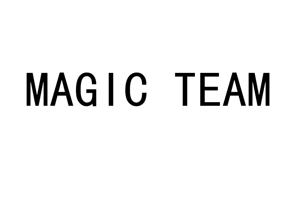 MAGIC TEAM