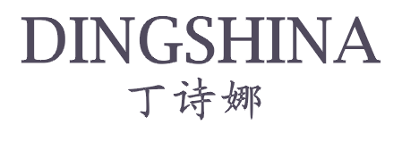 丁诗娜