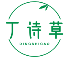 丁诗草