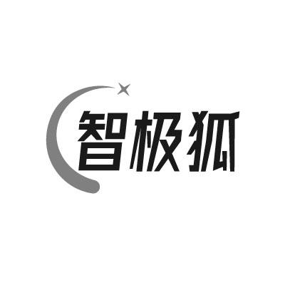 智极狐