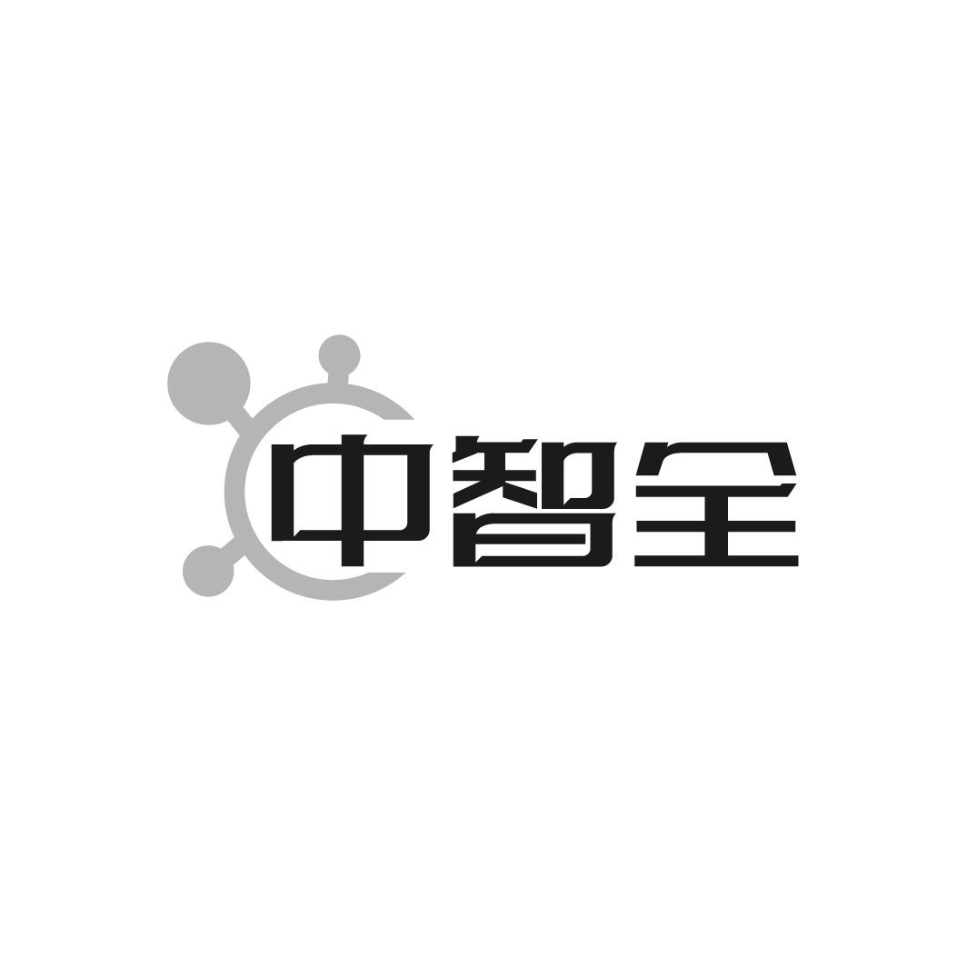 中智全