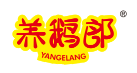 养鹅朗