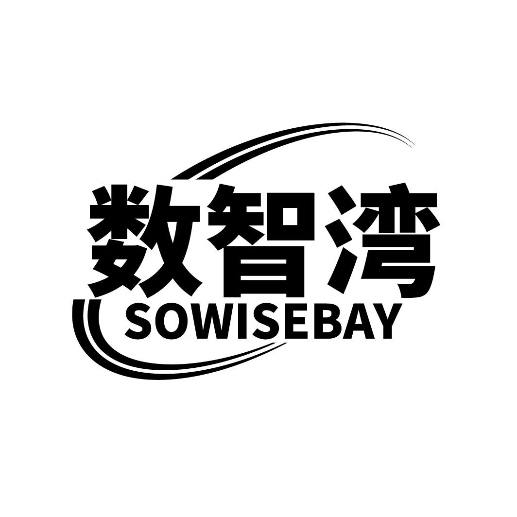 数智湾 SOWISEBAY