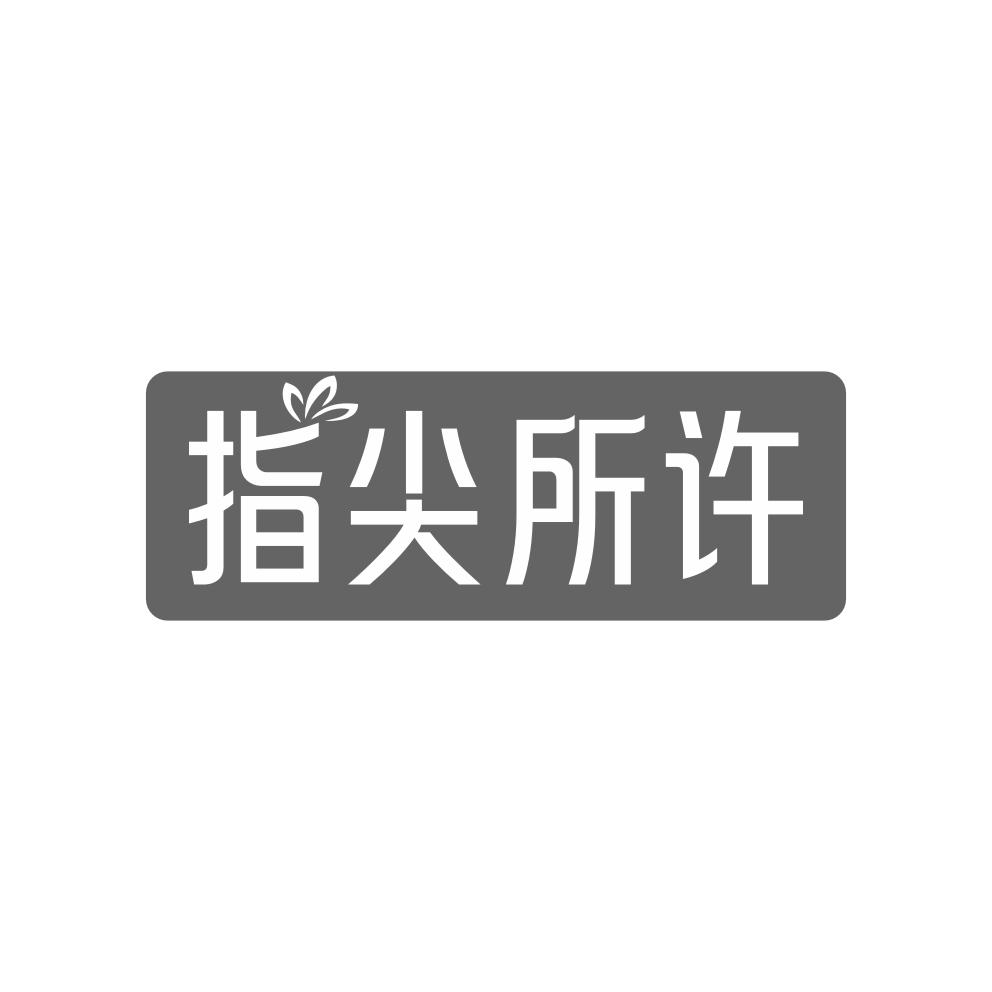 指尖所许