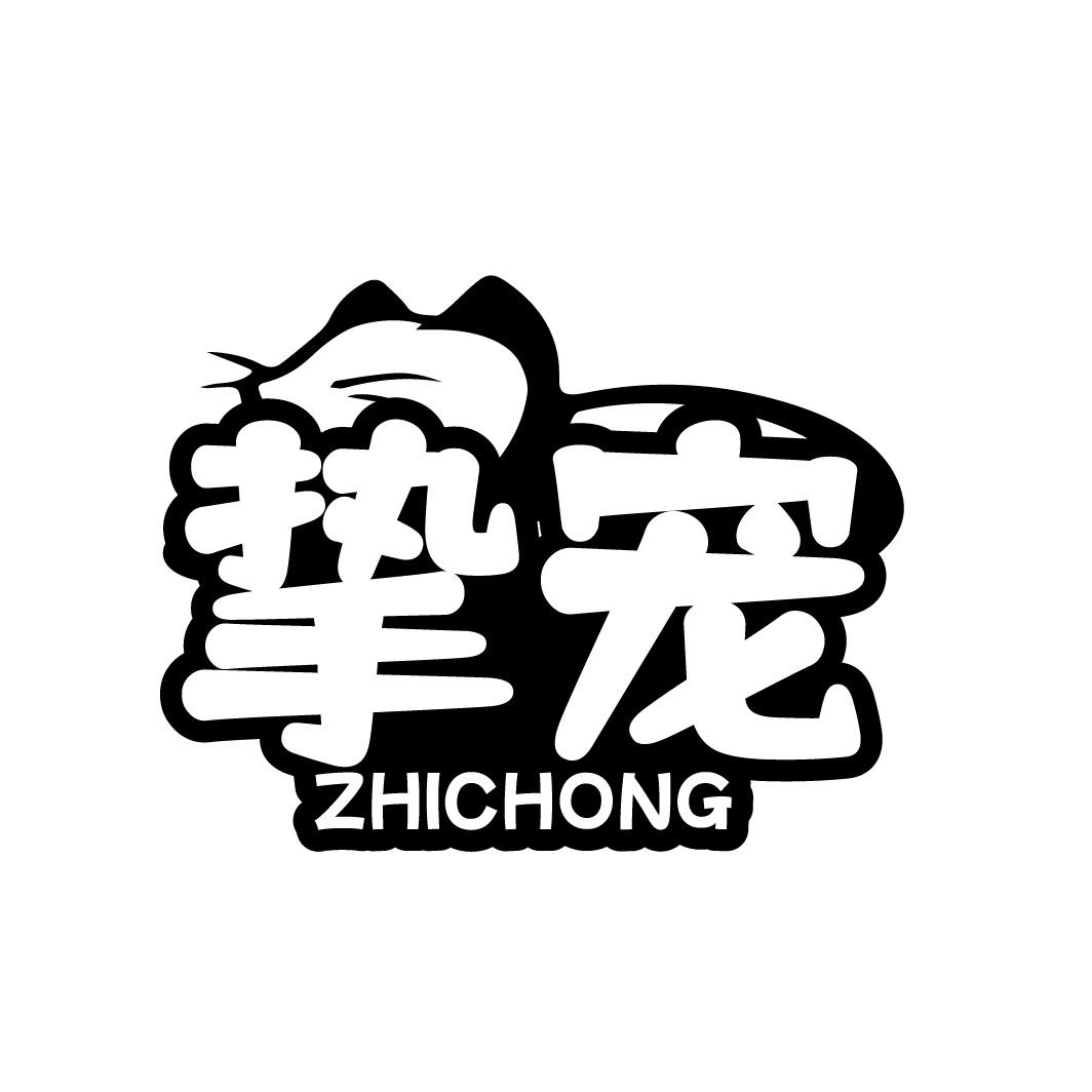 挚宠