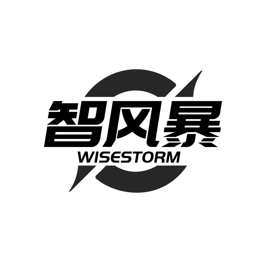 智风暴 WISESTORM