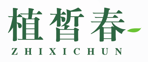 植皙春