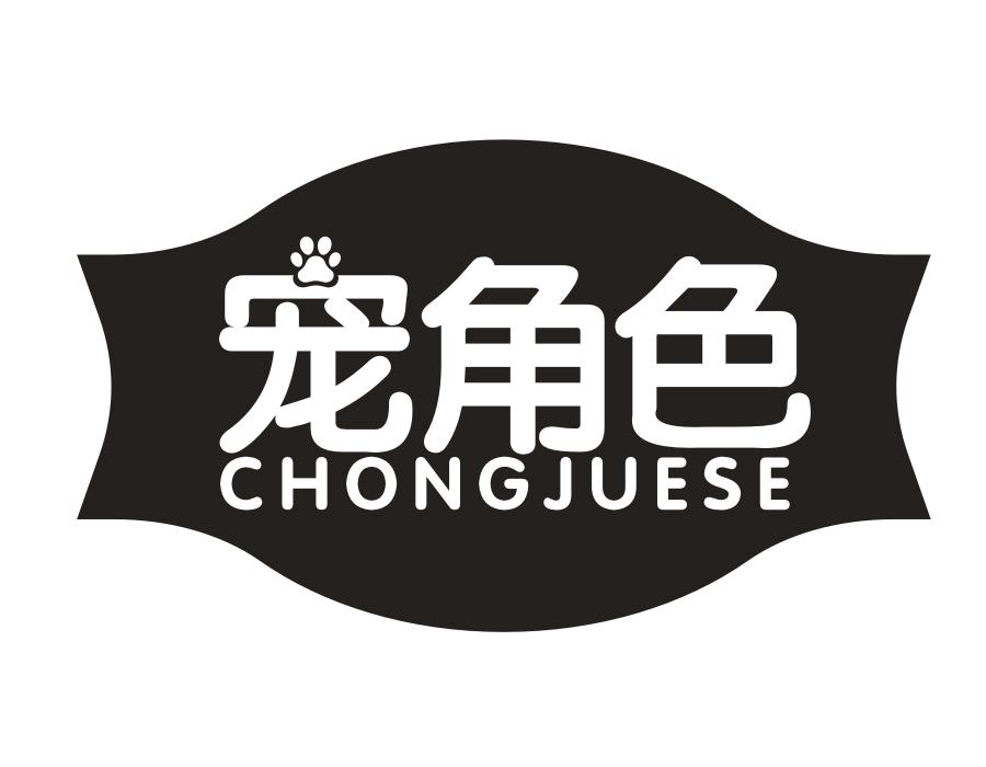 宠角色