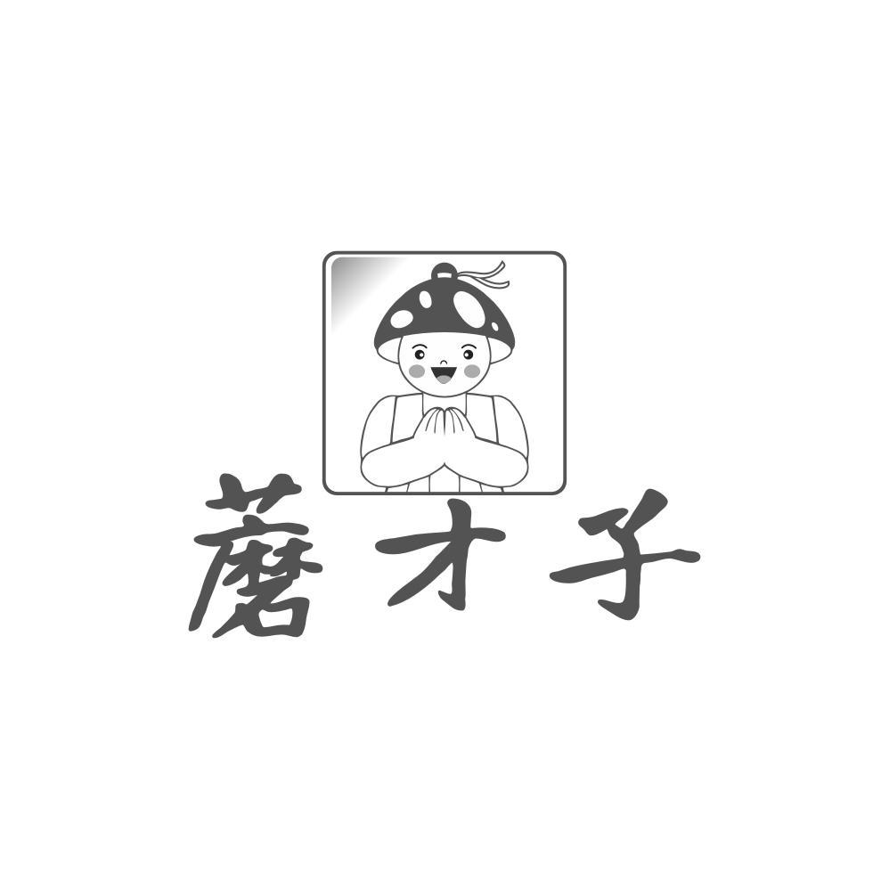 蘑才子