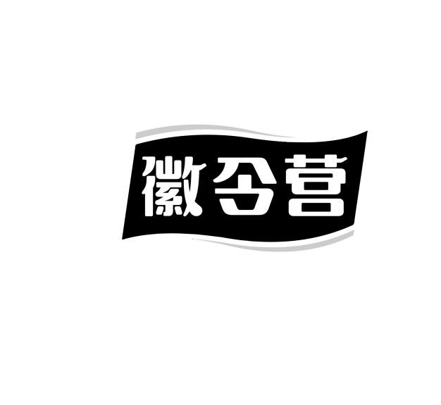 徽令营