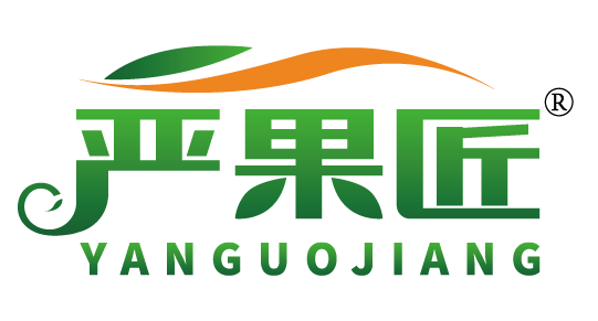 严果匠