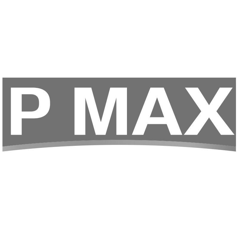 P MAX