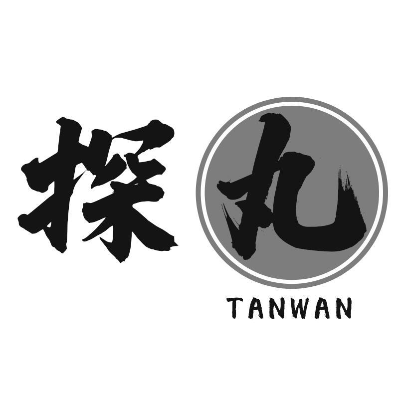 探丸