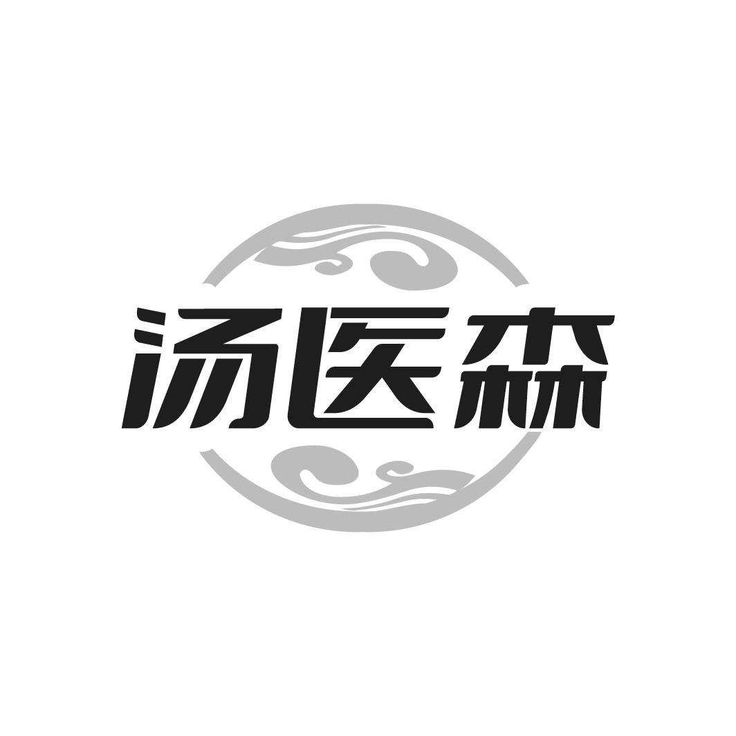 汤医森