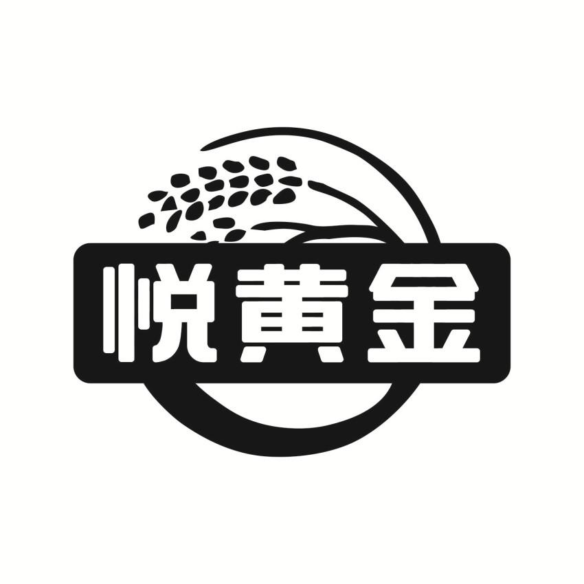 悦黄金