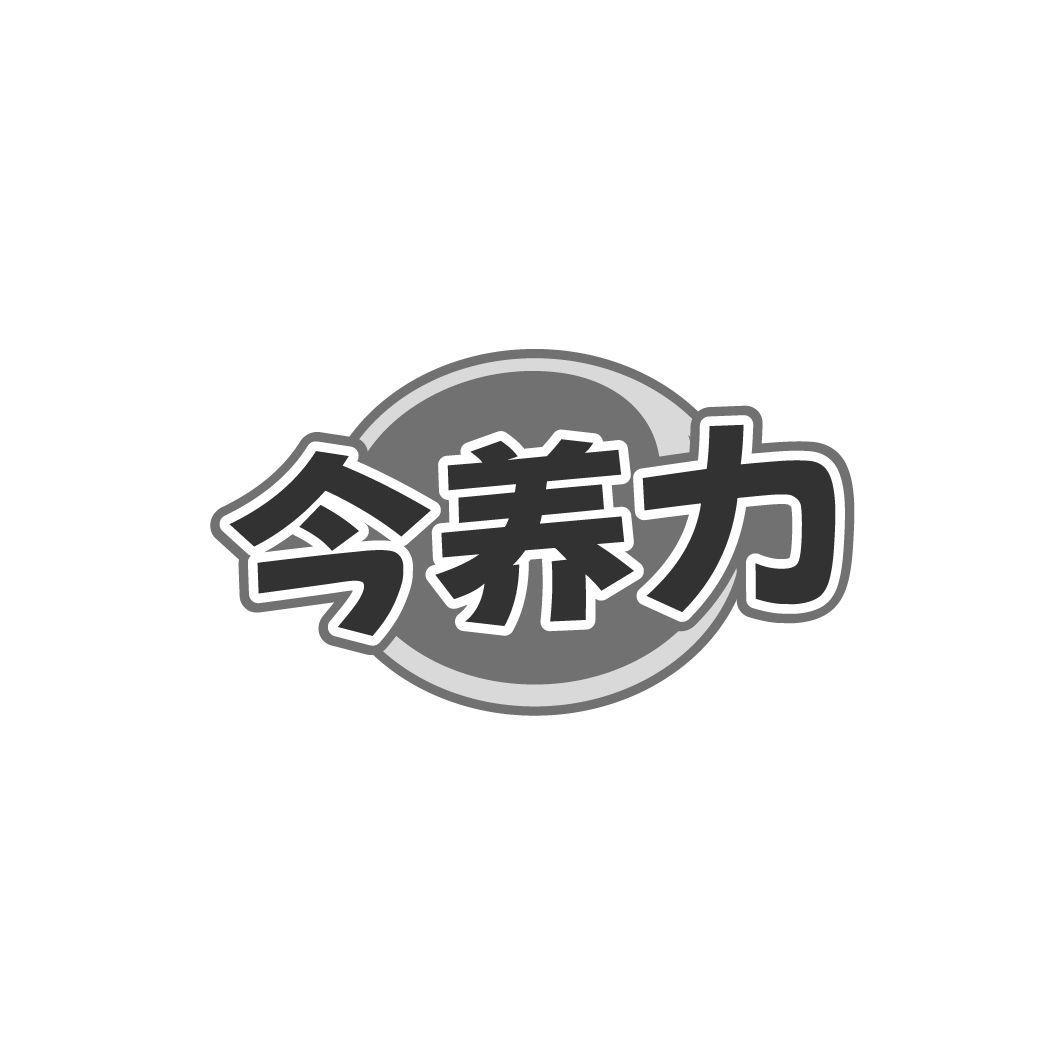 今养力