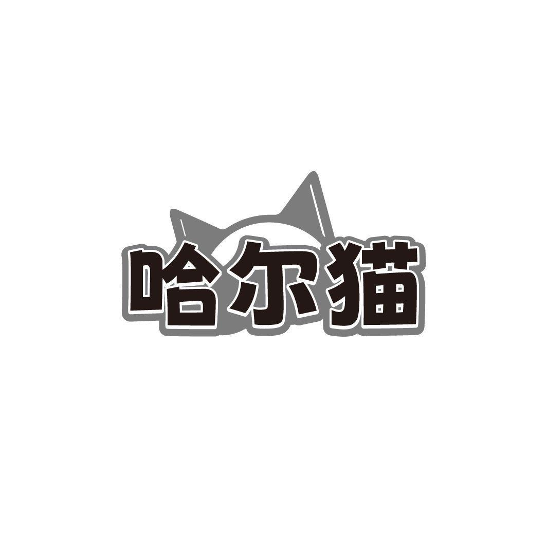 哈尔猫