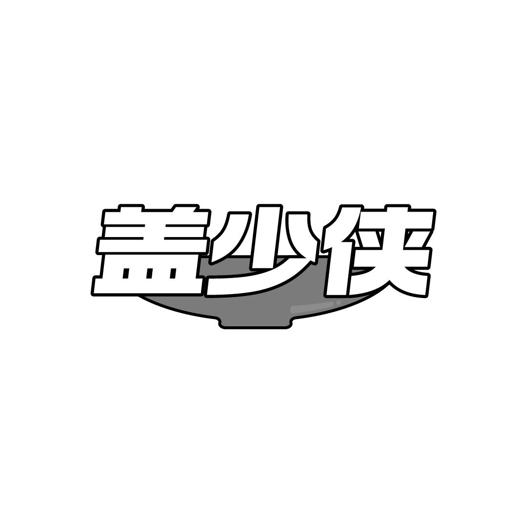 盖少侠