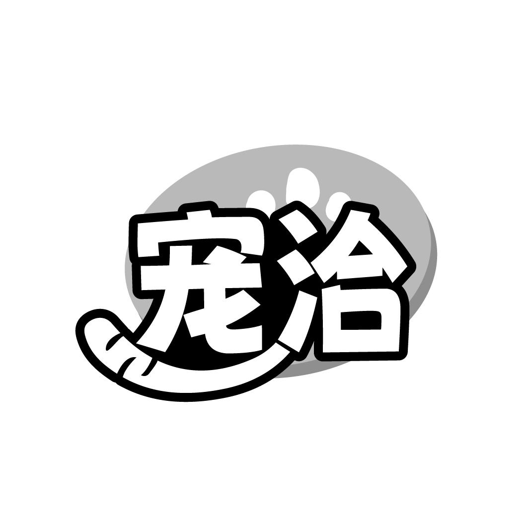 宠洽