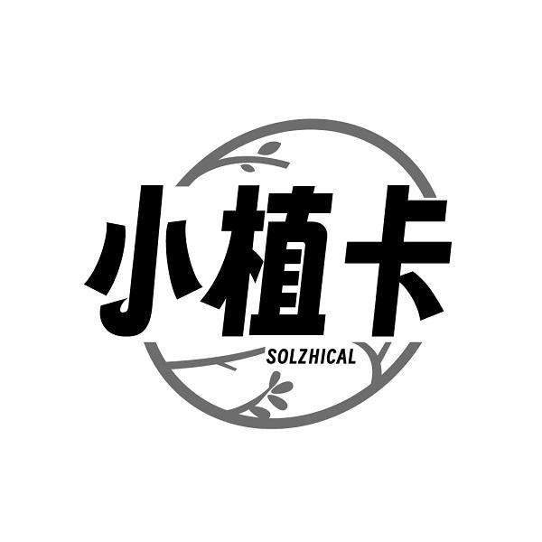 小植卡SOLZHICAL