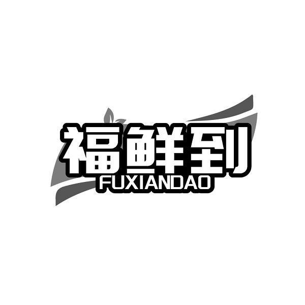 福鲜到FUXIANDAO