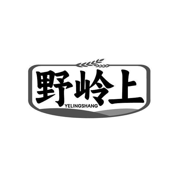 野岭上YELINGSHANG