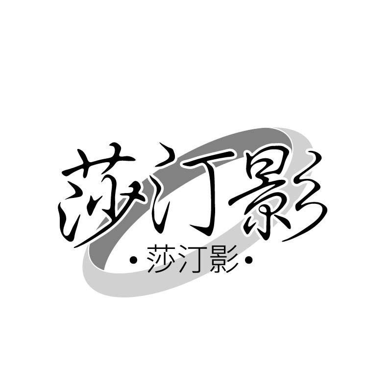 莎汀影