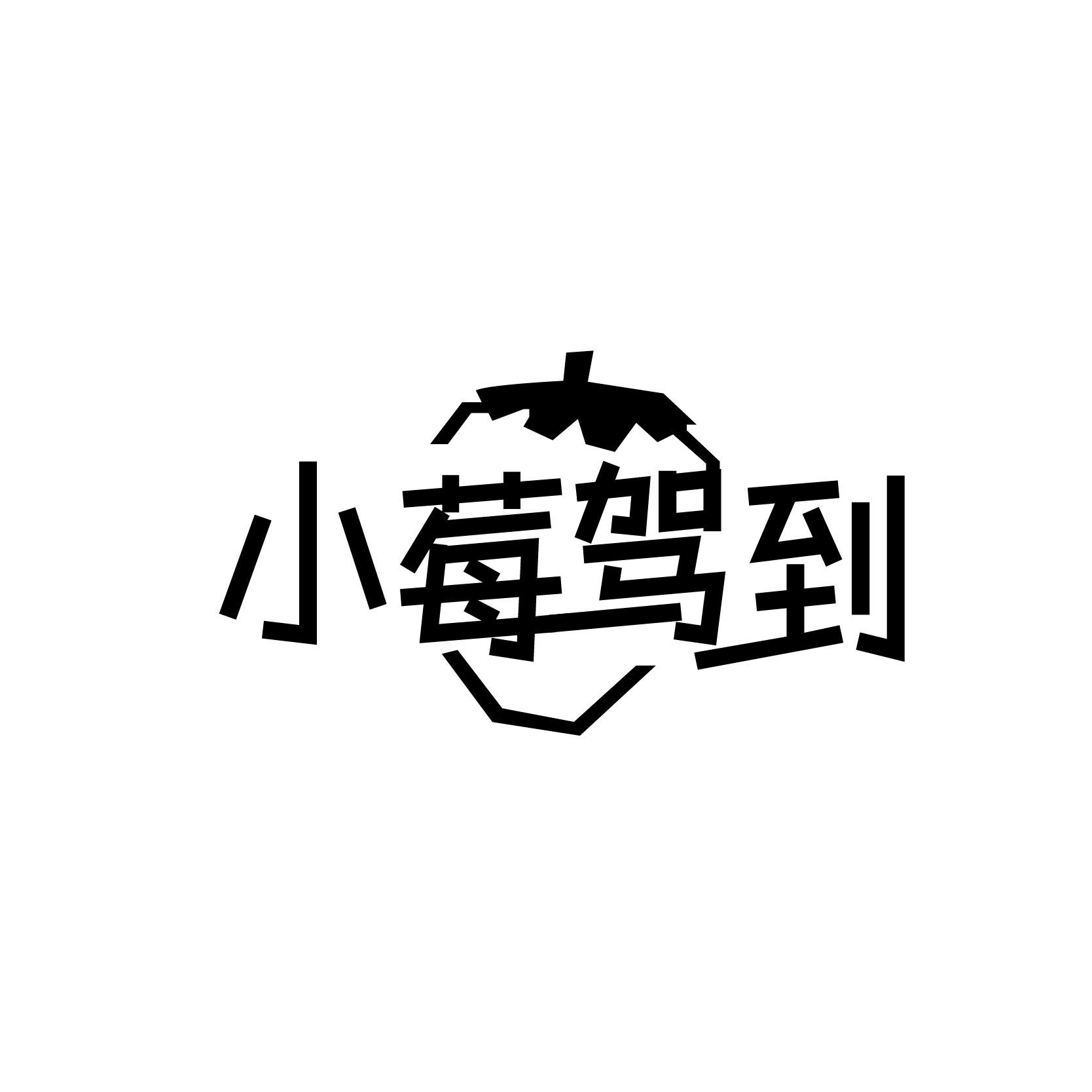 小莓驾到