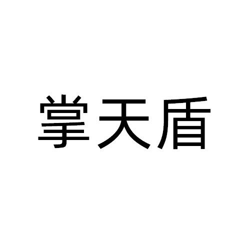 掌天盾