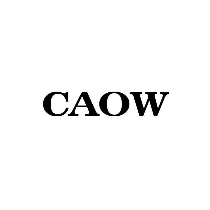 CAOW（擦边蔻驰）