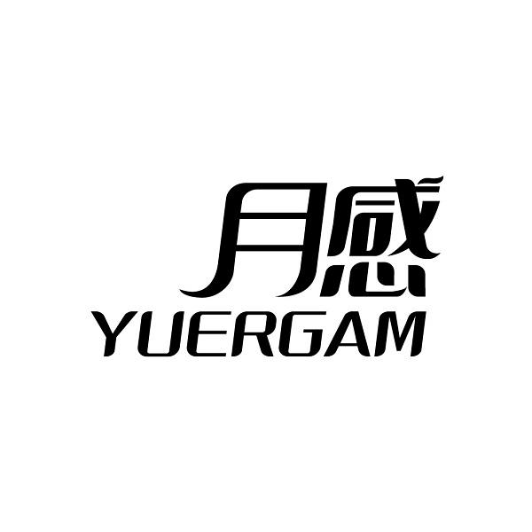 月感 YUERGAM