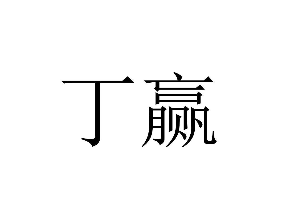 丁赢