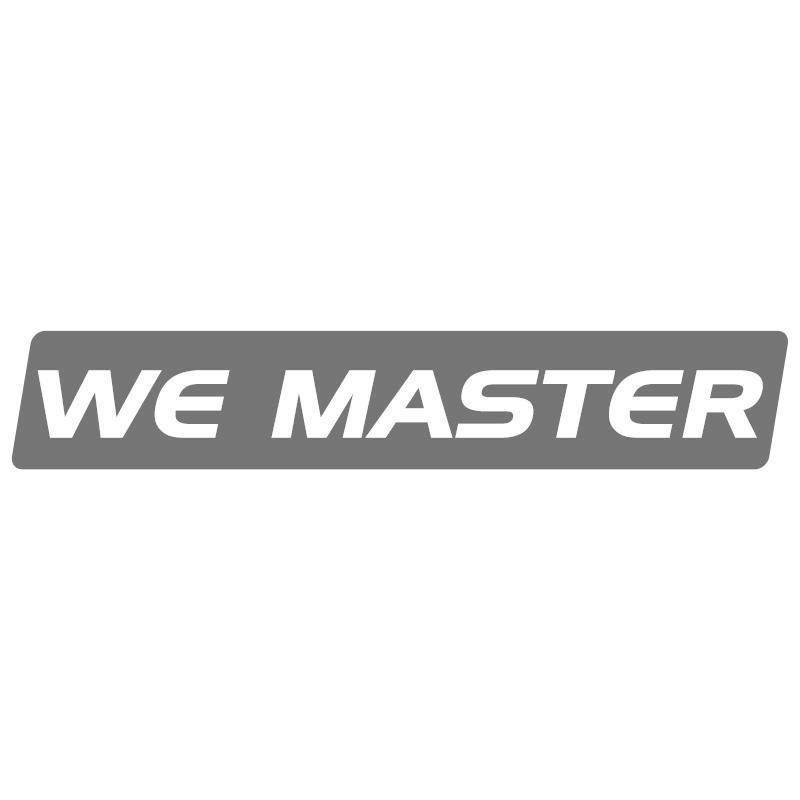WE MASTER